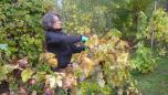 14 10 2017 vendanges palo 5