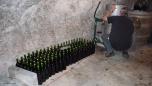 14 10 2017 vendanges palo 63