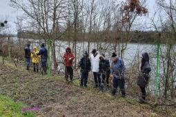 Taille Vétheuil (Bords de Seine) le 26/02/2022