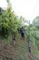 Vetheuil 26 08 2018 8